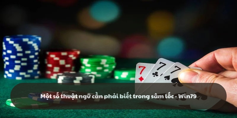 Các thuật ngữ thường xuyên được sử dụng