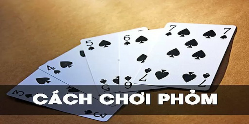 Cách chơi và một vài thuật ngữ cần thiết cho game thủ mới tại Phỏm – Win79