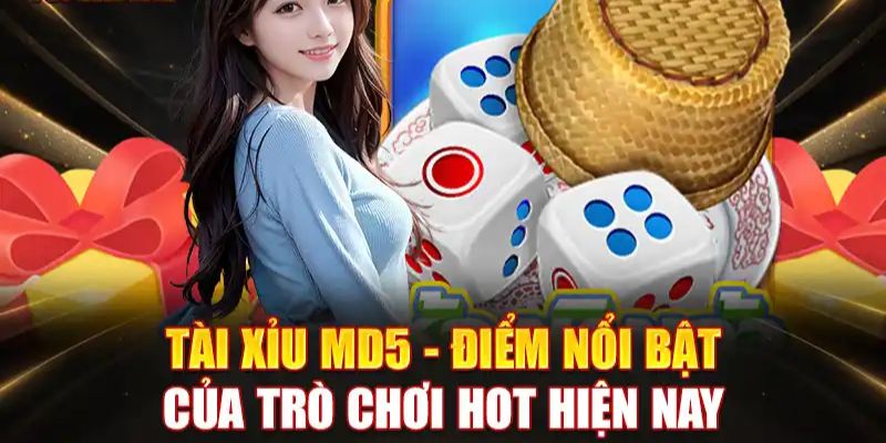 Khám phá cách chơi tài xỉu MD5