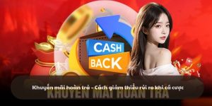 Khuyến mãi hoàn trả – Cách giảm thiểu rủi ro khi cá cược