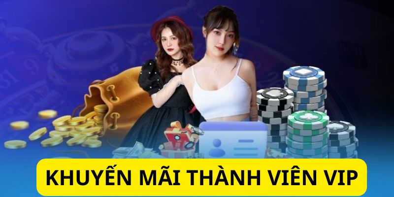 Khái quát về khuyến mãi thành viên VIP dành cho newbie