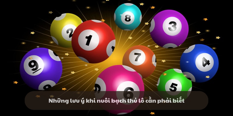Những lưu ý khi nuôi bạch thủ lô