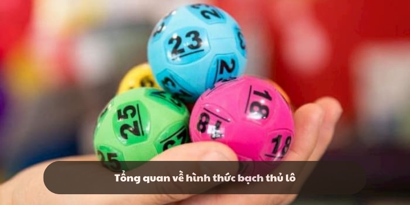 Giới thiệu tổng quan về lô bạch thủ